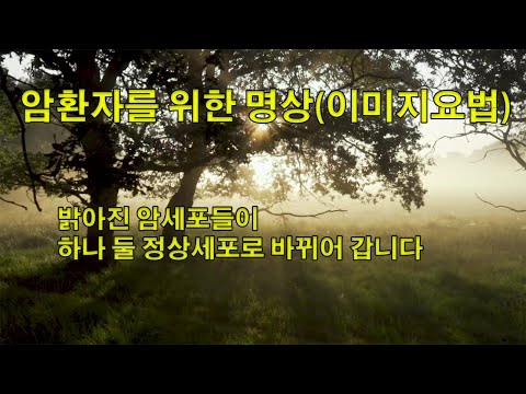 [매일치유] 암환자를 위한 명상(이미지요법)