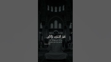#سورة_يوسف #صلى_الله_عليه_وسلم #قرآن_كريم #اكسبلور #المصحف #لايك #الرحمن