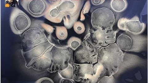 Microservices Characteristics |Microservice architecture with Spring boot |Ask2Shamik|English