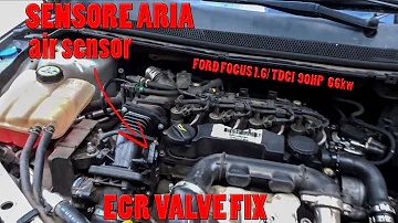 Quando cambiare la cinghia di distribuzione Ford Focus 1600 TDCi?