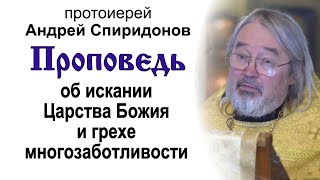 Об искании Царства Божия и грехе многозаботливости (2023.06.25). Протоиерей Андрей Спиридонов