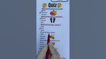 Let’s play a quick quiz game! 📝🔥 #challenge #mindbendingquiz #quiz