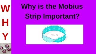 Relevance of the Mobius Strip