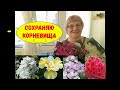 #Сохранить #ирисы, #флоксы не трудно