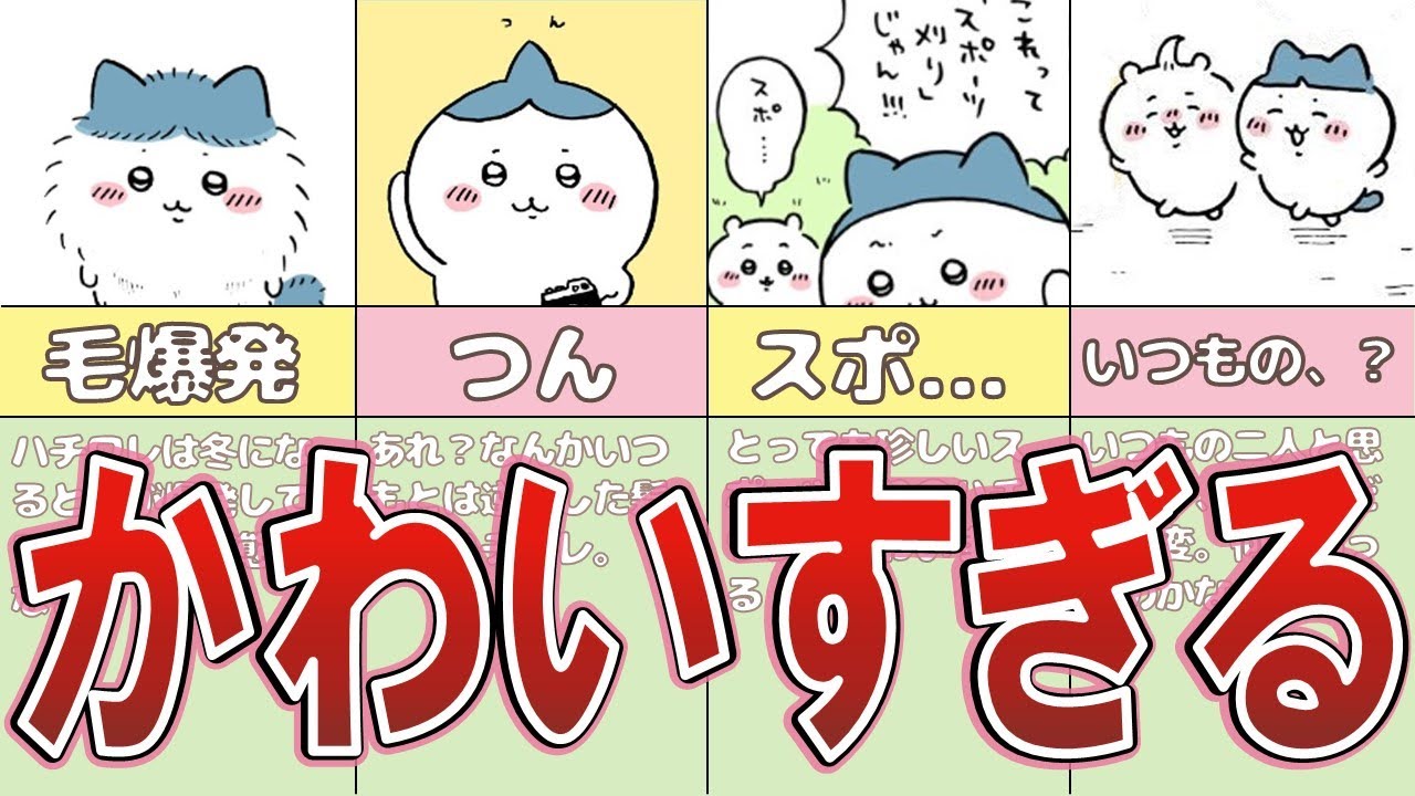 【全部知ってる?】髪型から体まで!いつもと違うハチワレのイメチェン全集 YouTube