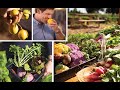 Well-being and Health Quiz