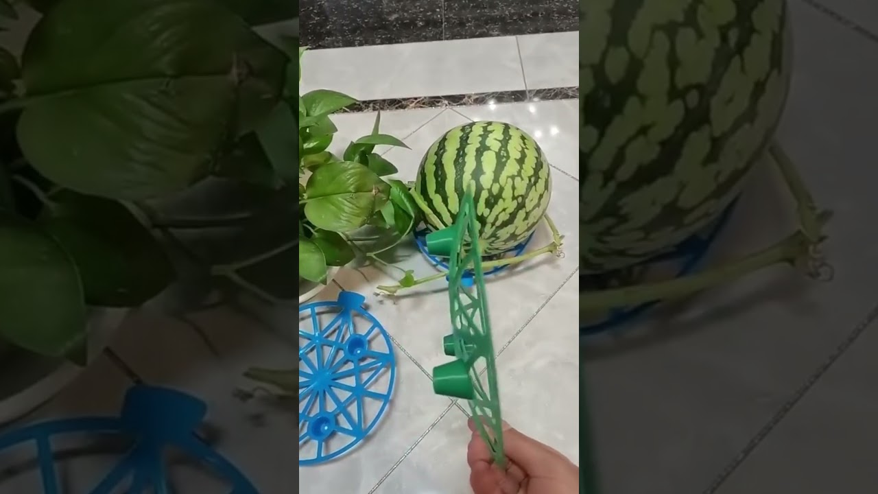 Garden Essentials: Anticorrosive Fruit Support Trays for Watermelons