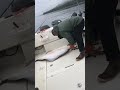 Ketchikan Alaska 80 pound Halibut released! #ketchikanalaska #alaska #salmon #fishingcharter