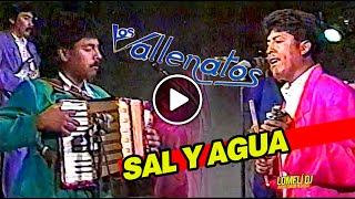 SAL Y AGUA - Los Vallenatos De La Cumbia - Sergio Sias y Javier Lopez