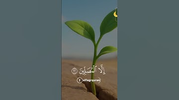 إِنَّ الْإِنسَانَ خُلِقَ هَلُوعًا #قران_كريم  #تلاوة_خاشعة #أرح_قلبك