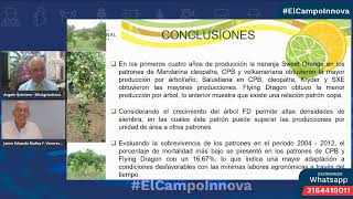 Biodiversidad de los clones de cítricos en Colombia.