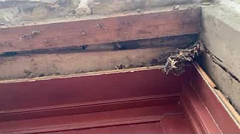 Restoring the Abraham Hasbrouck House Windows & Doors