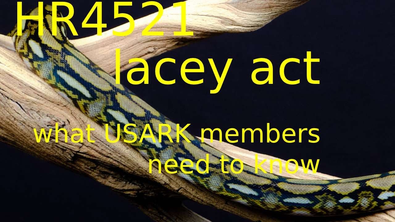hr4521 lacey act amendment
