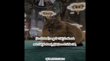 Be truthful and faithful. Don