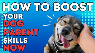 How To Boost Your Dog Parent Skills NOW