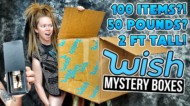 Huge $100 WISH Mystery Box!