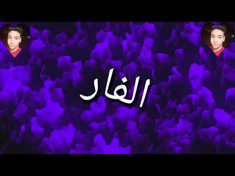 اجمد حالات واتس أي كتكوته هتتنطط هزعلها