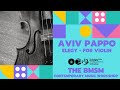 Aviv Pappo - Elegy for violin
