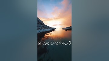 ##قران كريم💝💝 راحة نفسية😇😇😇 اللهم انصر اهلنا في 🇵🇸🇵🇸🇵🇸🇵🇸🇵🇸