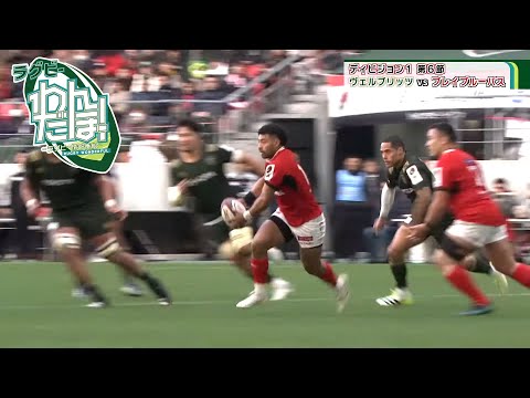 【深掘り】トヨタヴェルブリッツ vs. 東芝ブレイブルーパス東京｜ラグビーわんだほー！#rugby