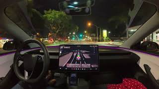 O Tesla Self-Driving 14.2.1 me levou para o jantar de Ação de Graças no modo Mad Max.