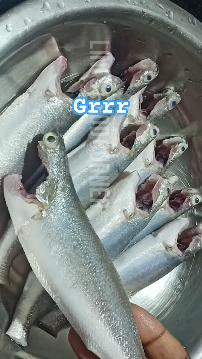 Fish Fry #shortsfeed #song #cookingtutorial #lini 'sfoodcorner