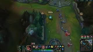 cool Samira bug