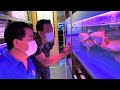 LIOW VIDEO: Buying Arowana At BCA Aquarium 龙鱼店买红龙