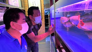 LIOW VIDEO: Buying Arowana At BCA Aquarium 龙鱼店买红龙