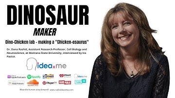 Dr  Dana Rashid: Reverse Engineering A Dinosaur
