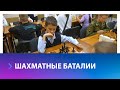 Школьная спартакиада по шахматам прошла в Ставрополе