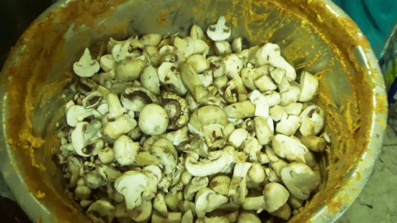 mushroom-pakodi-rajahmundry-famous-street-food-av-apparao-road
