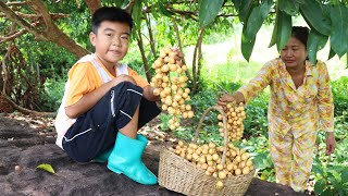 Seyhak and grandmother harvest Burmese grape and cooking  Sreypov life show