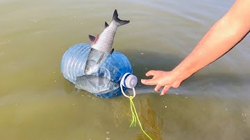 Plastic Bottles Fish Trap 100%UseFul || Fishing Tips And Ideas