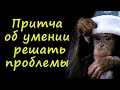 Мудрая притча о том, как решать проблемы