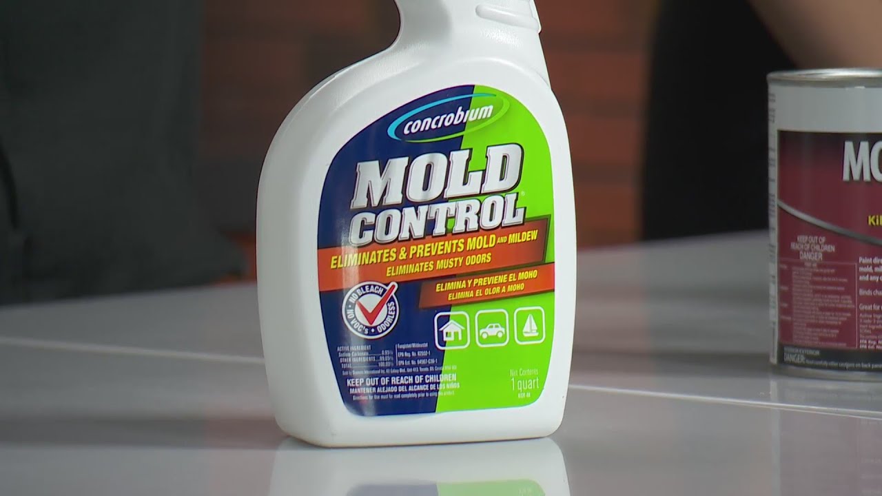 Concrobium Mold Control