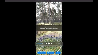 iScanForest
