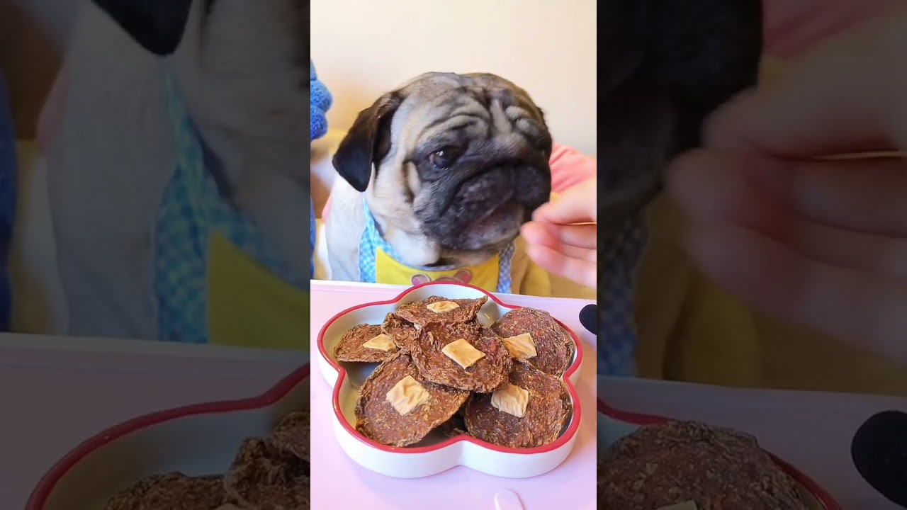 ASMR Pugs Pug Dogs Different Eating Food Meat and Fresh Fruit Ep 76