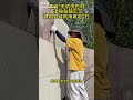 True Rock®Shi Bai Yan Song#$