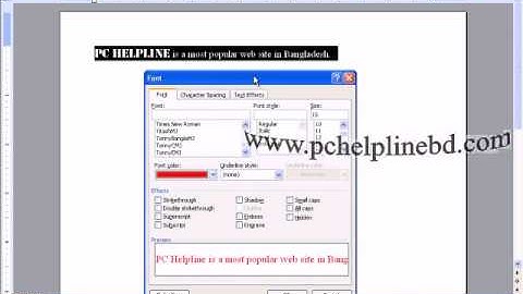 Format Menu of MS word 2003 (Bangla Tutorial)