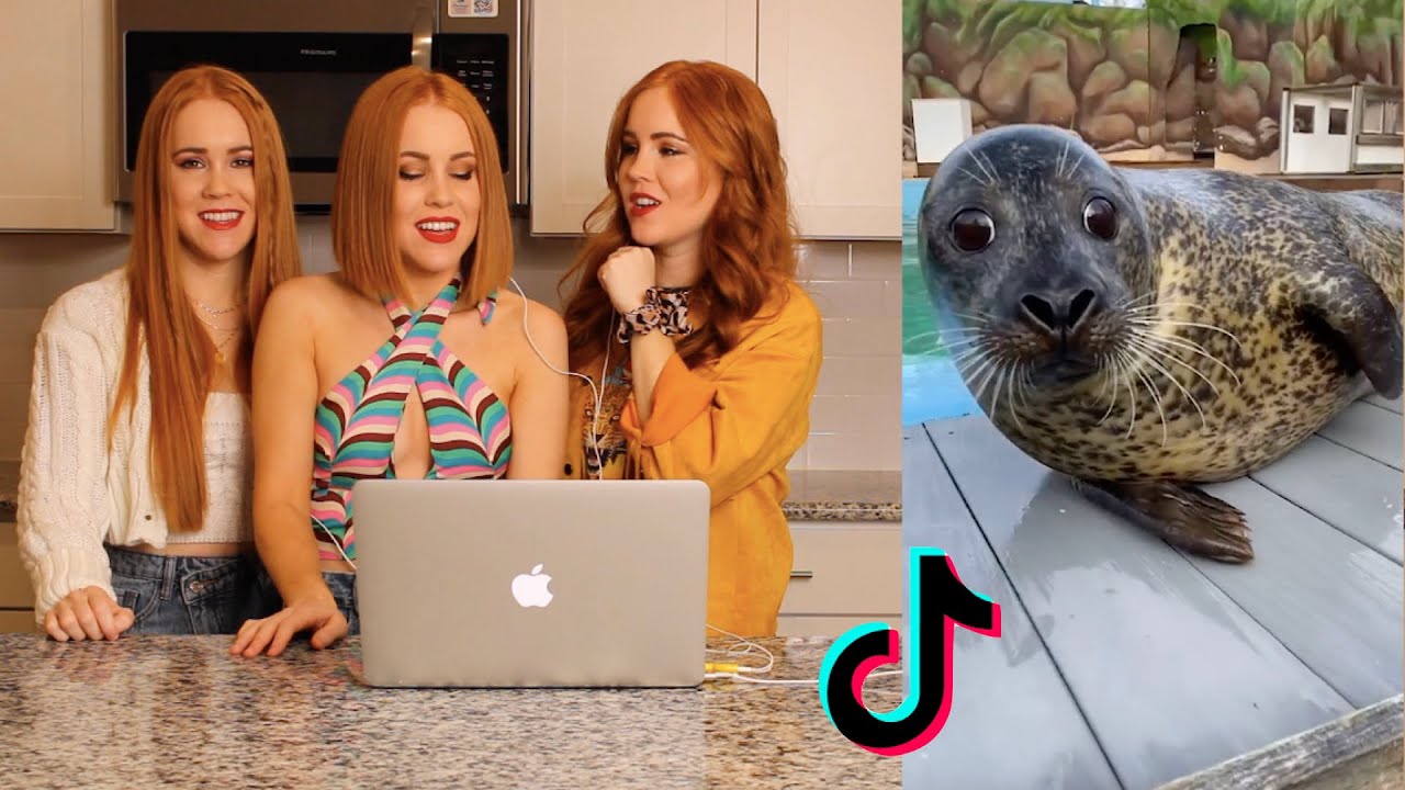 Original Title & Thumbnail