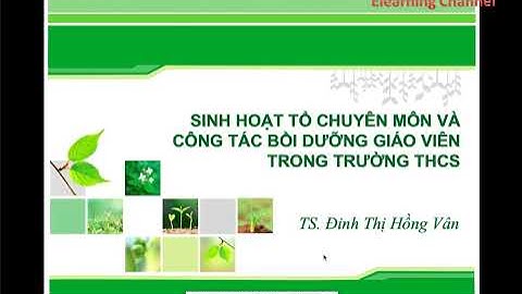 Hướng dẫn chi trả chuyên gia bồi dưỡng