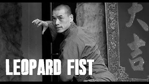 SHAOLIN LEOPARD FIST (PART 3) BY SHI DEQIAN