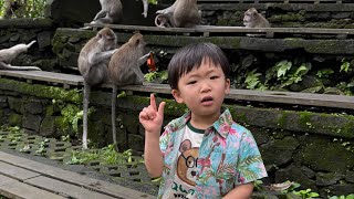 Seungo Bali 2024 Dec.