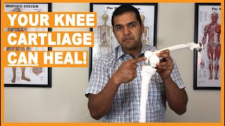 How Knee Cartilage Can Heal Without Surgery