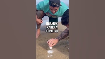 Tutorial lucu mancing kepiting#shorts #pranks