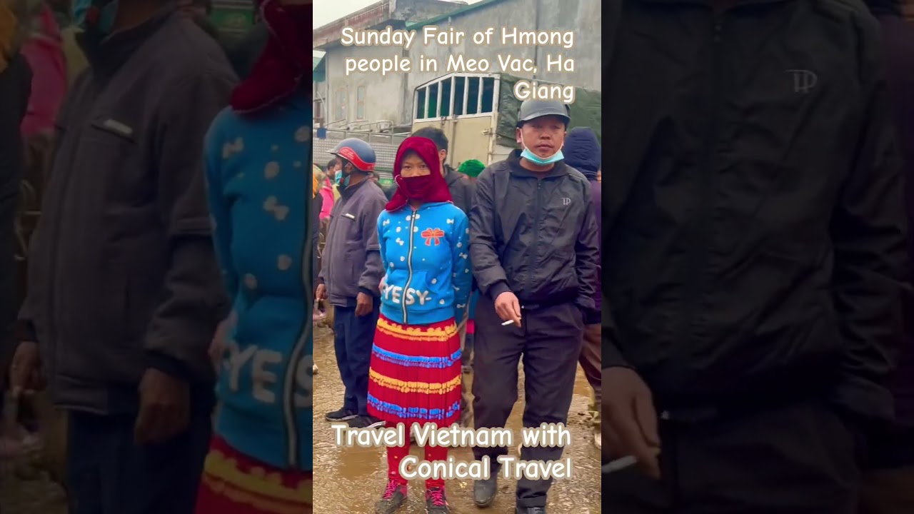 Sunday market fair of Hmong people in Meo Vac, Ha Giang - the live animal market 