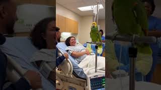 Parrot Comedy Gone Wild – Cat & Dog Can’t Stop Reacting 😂