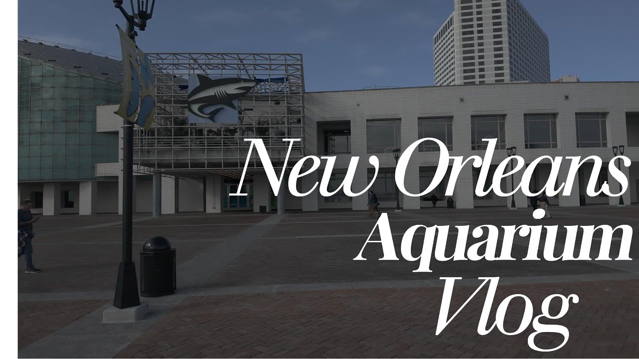 Touching Stingrays & Butterflies in New Orleans! 🦋🦈 (Audubon Aquarium Vlog)
