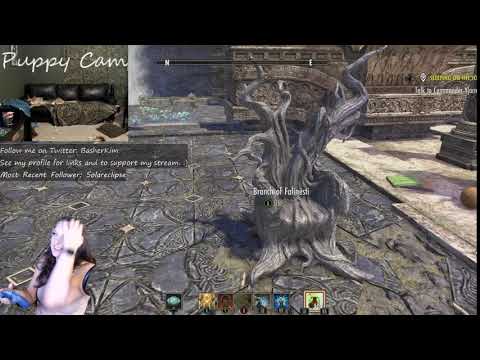 Branch of Falinesti Furnishing - YouTube